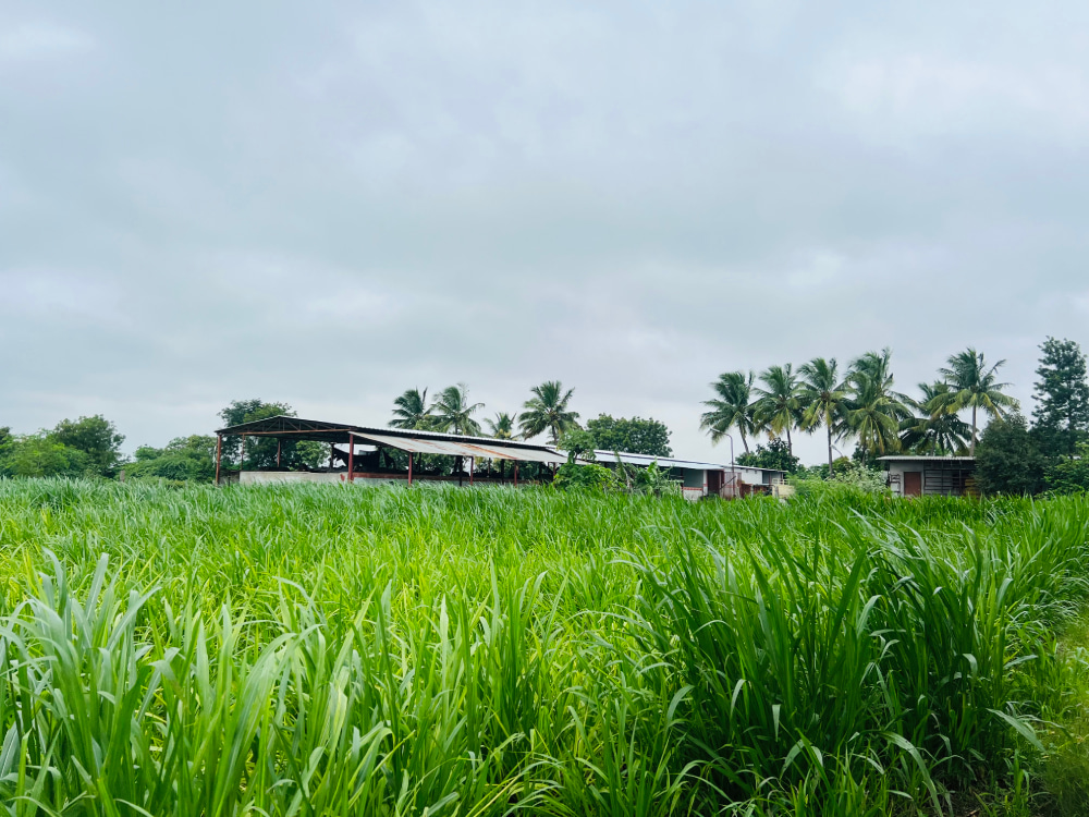 village